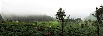 Wild Elephant Eco Friendly Munnar