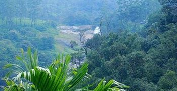 Resort Trees Munnar