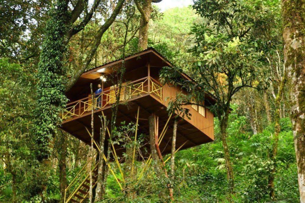 Seven Springs Munnar