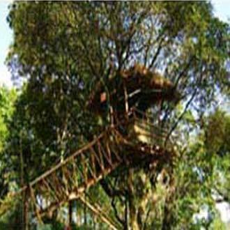 Great Escapes 3* Munnar