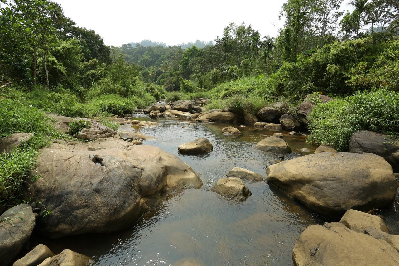 Resort Ayursakthi Riverdale 3*