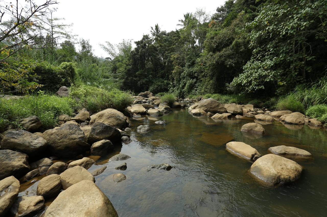 Ayursakthi Riverdale 3* Munnar