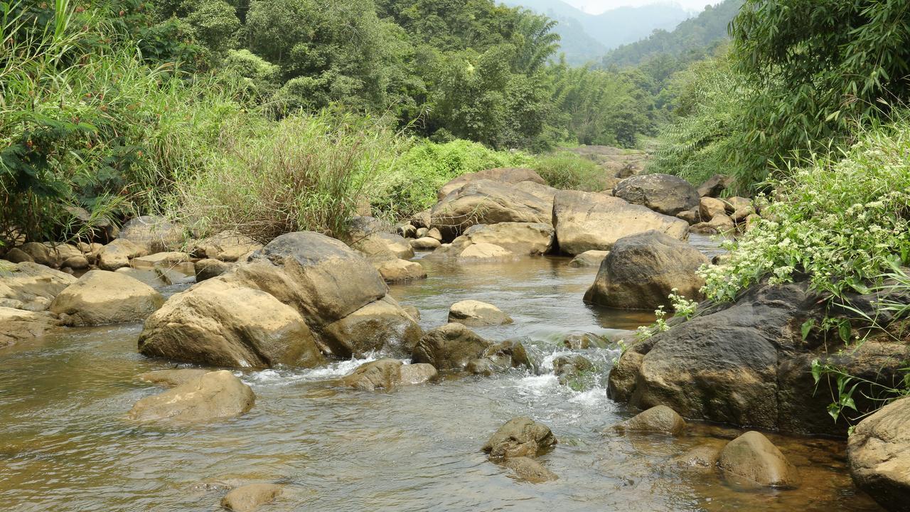 Ayursakthi Riverdale 3* Munnar
