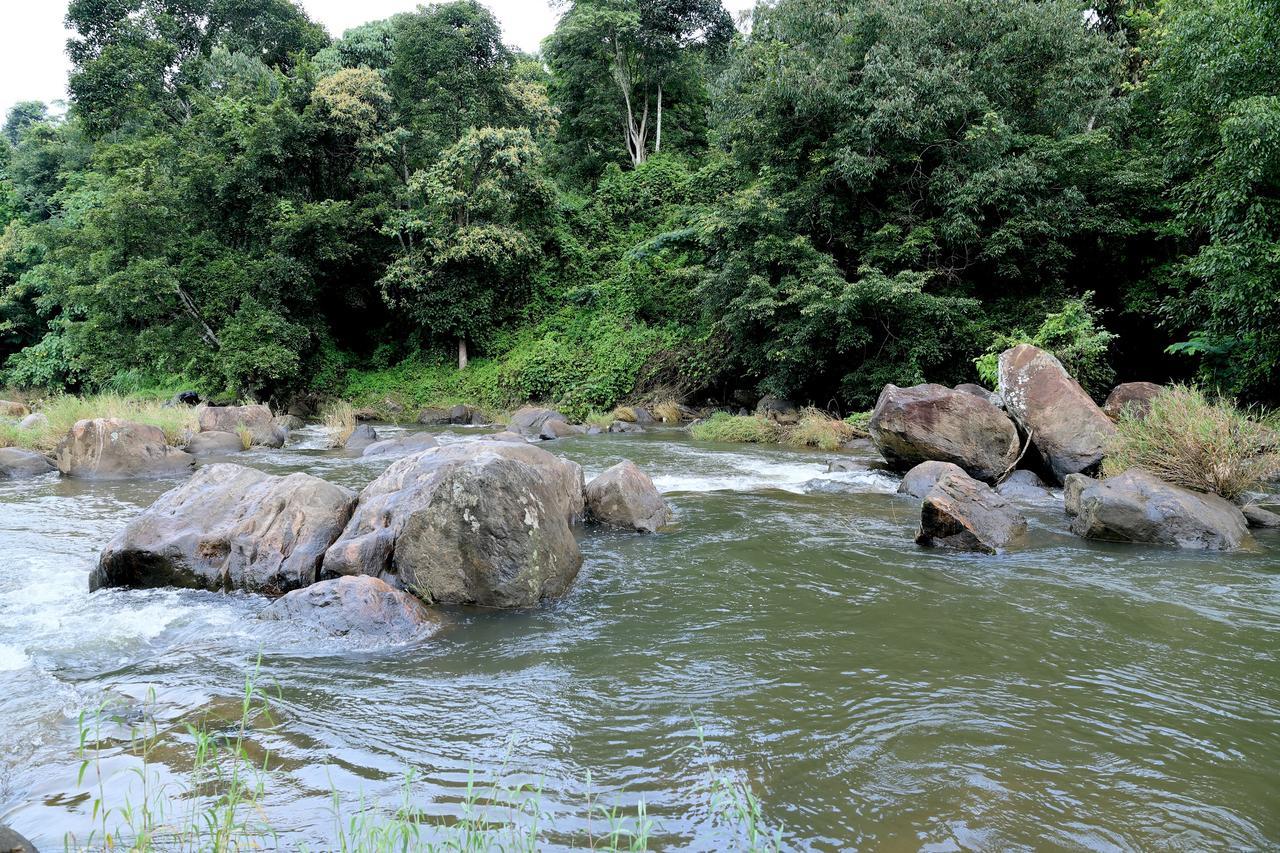 Resort Ayursakthi Riverdale 3*