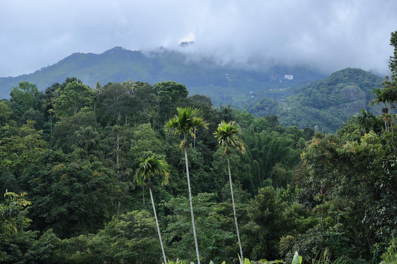 Ayursakthi Riverdale 3* Munnar