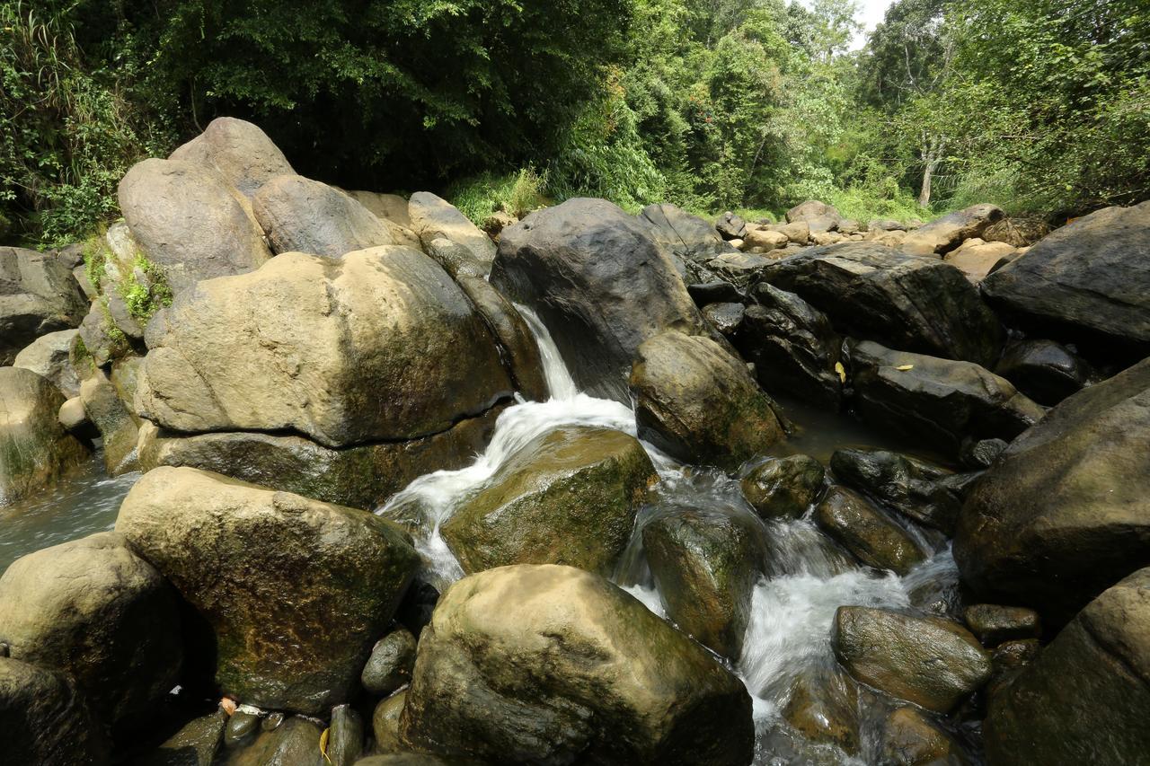 Resort Ayursakthi Riverdale 3*