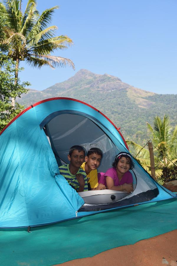 Pepper County Farm * Munnar