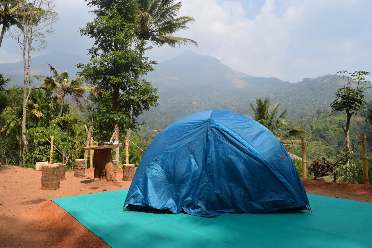 Pepper County Farm * Munnar