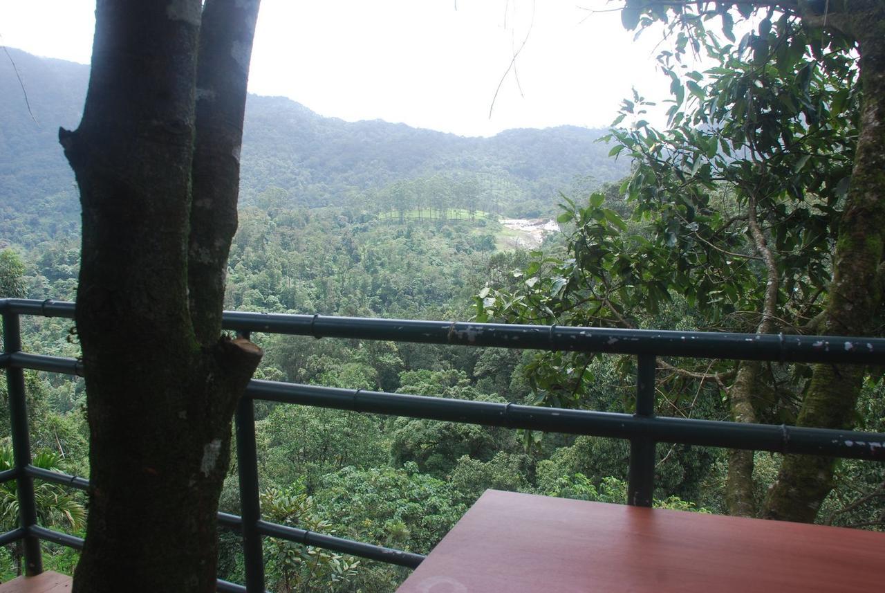Wild Elephant Eco Friendly 3*