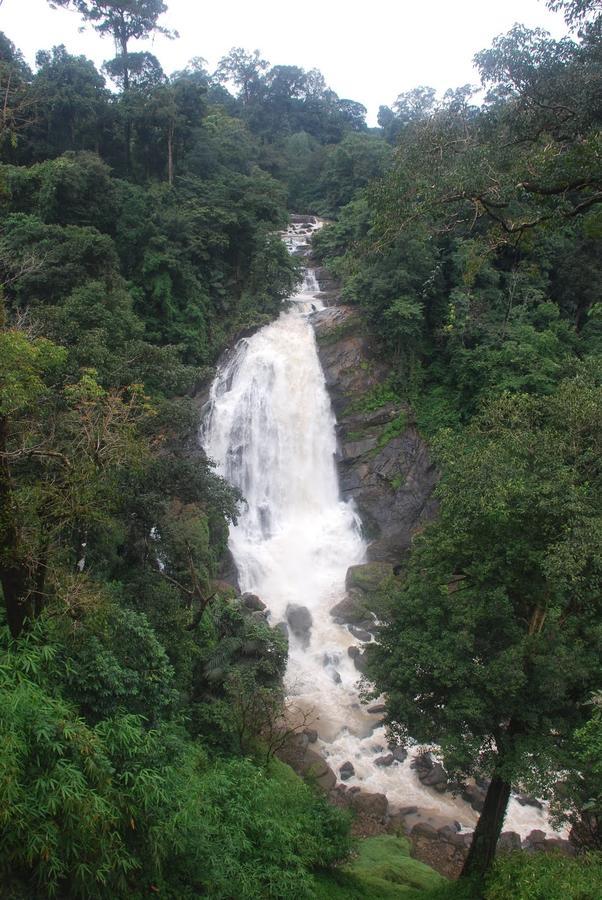 Wild Elephant Eco Friendly 3* Munnar