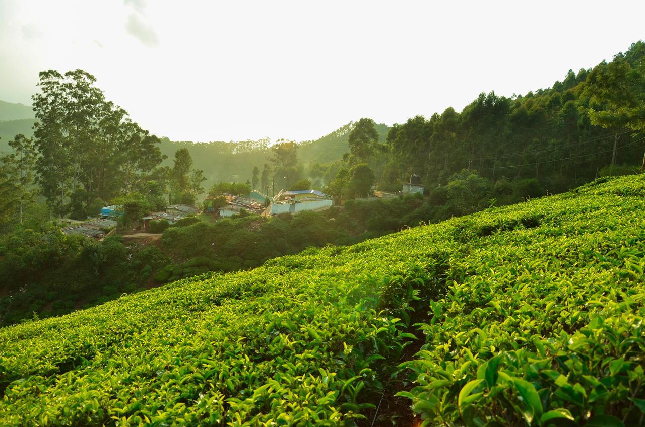 Homestay Valley View Munnar