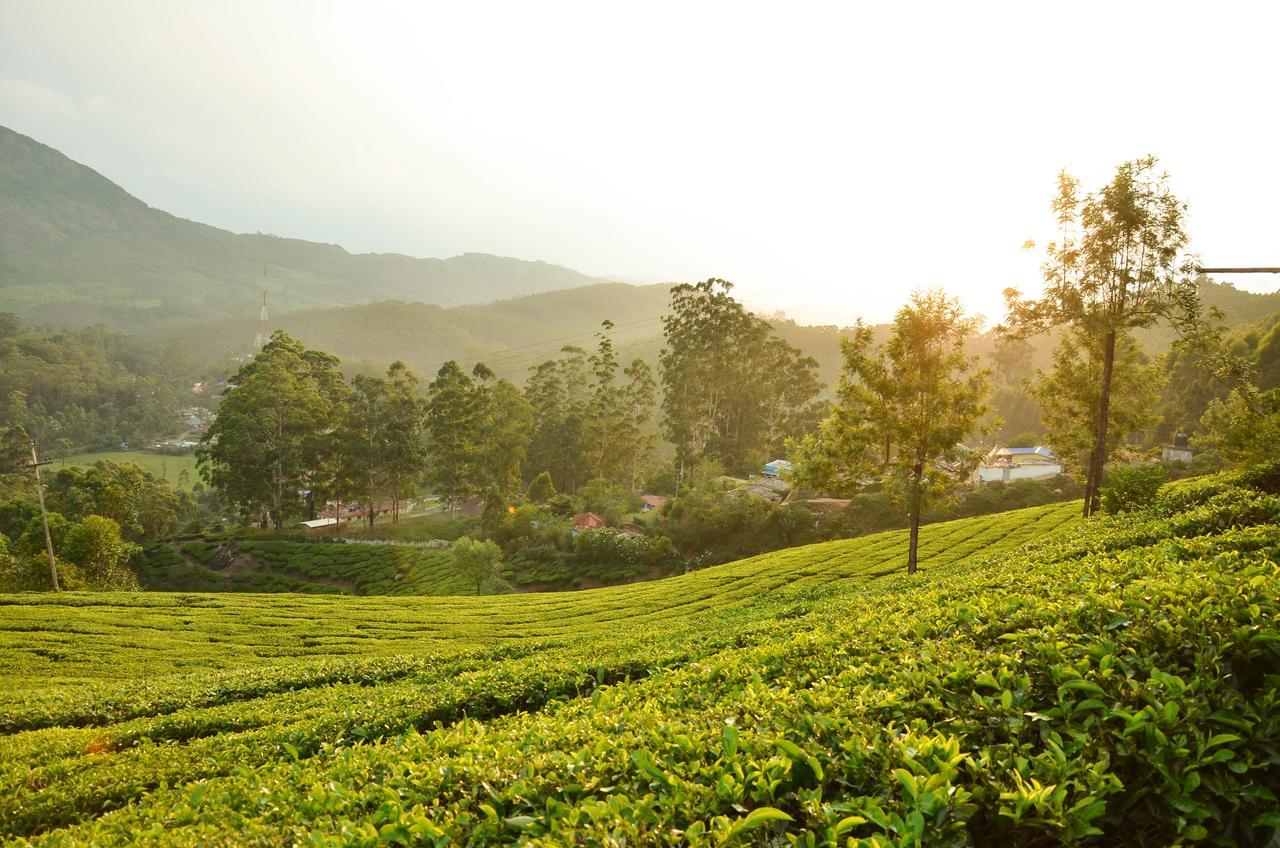 Valley View Homestay Munnar