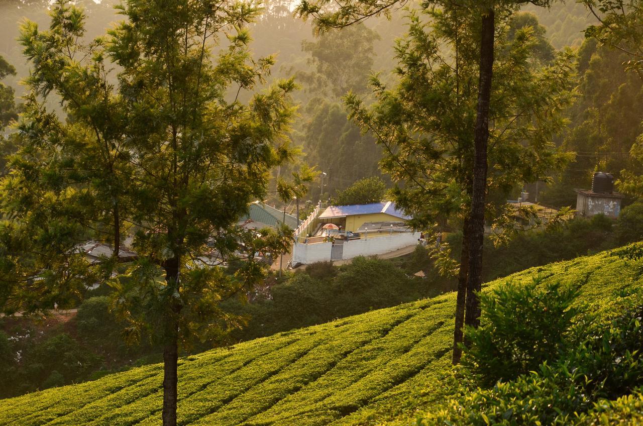 Valley View Munnar