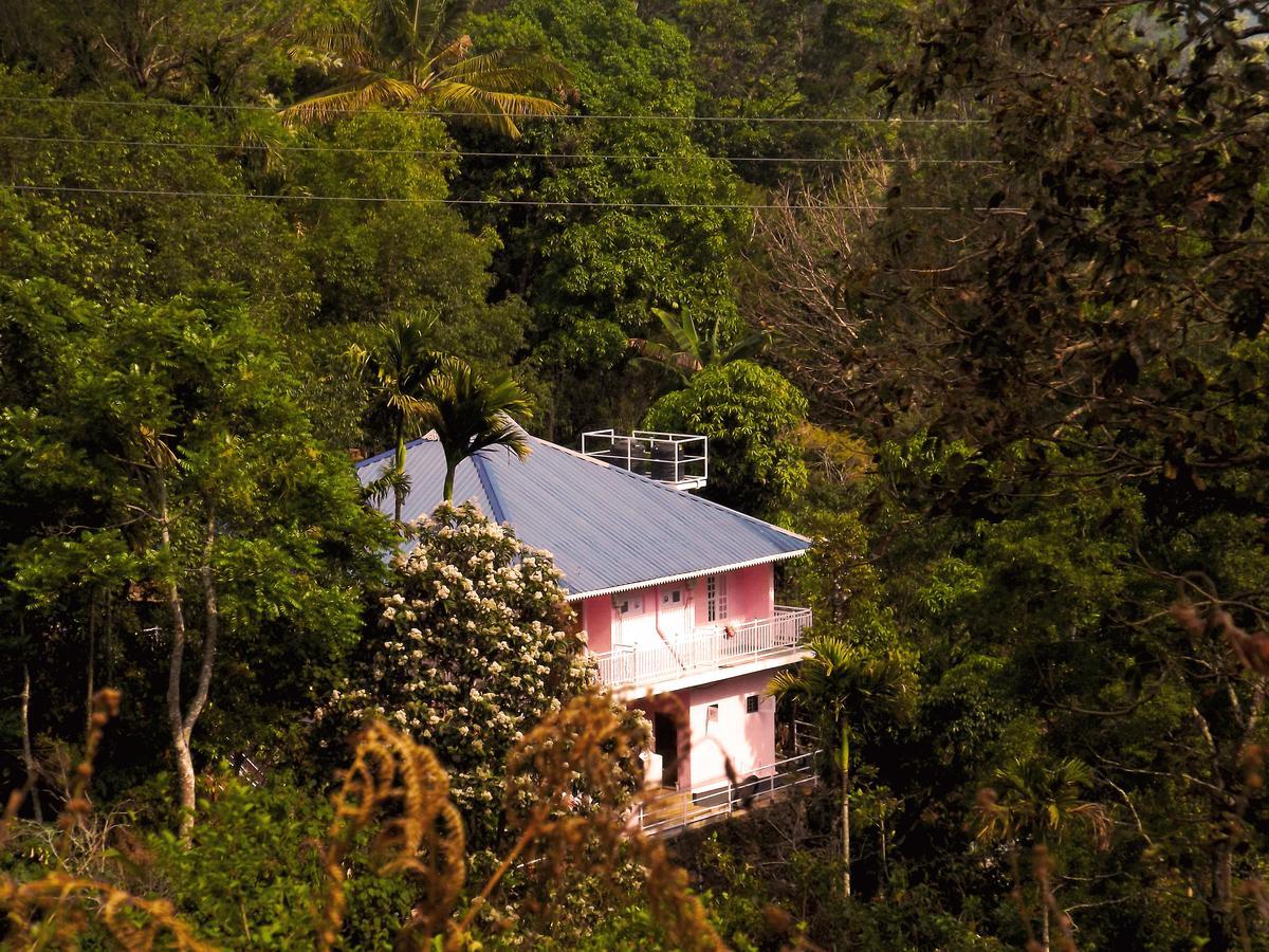 Drizzle Valley Homestay