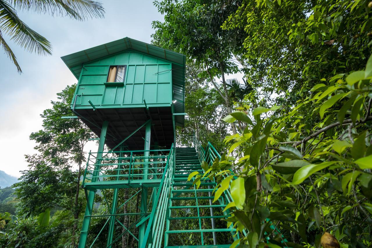 Farm stay The Wayside *