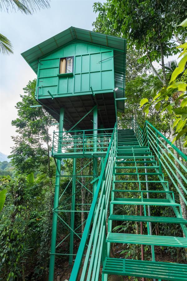 The Wayside * Munnar