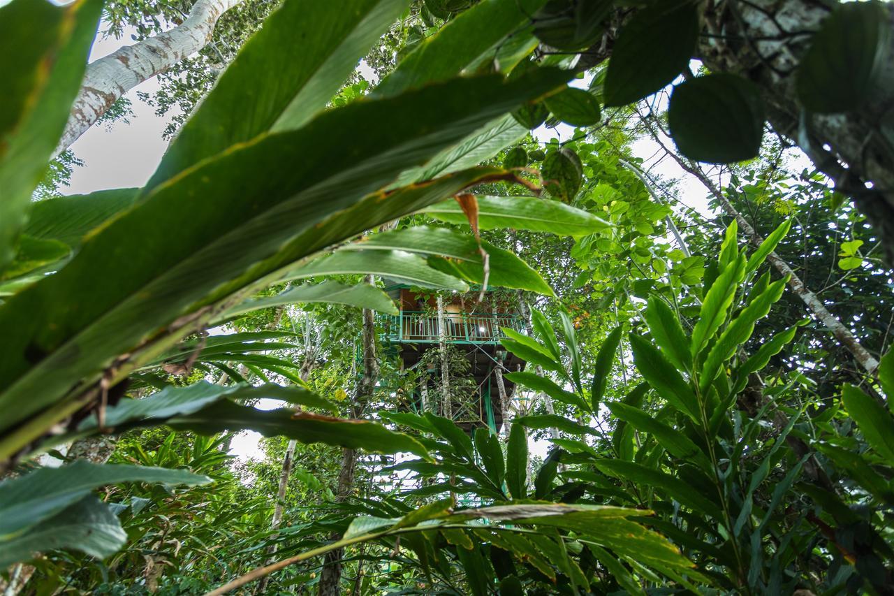 The Wayside Farm stay Munnar