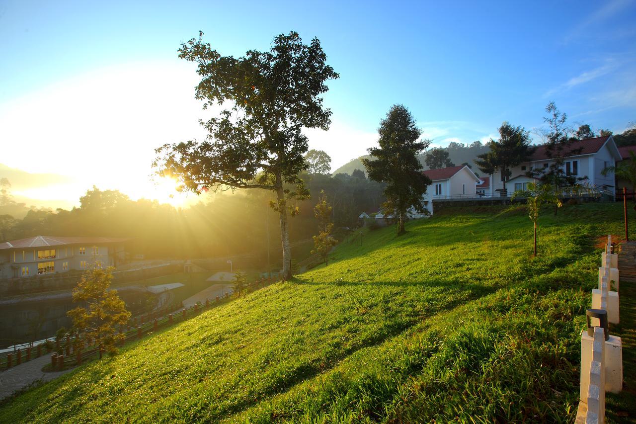 Broad Bean & Resort Munnar