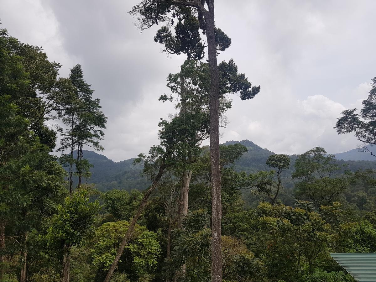 Dew Drops Farm Farm stay Munnar