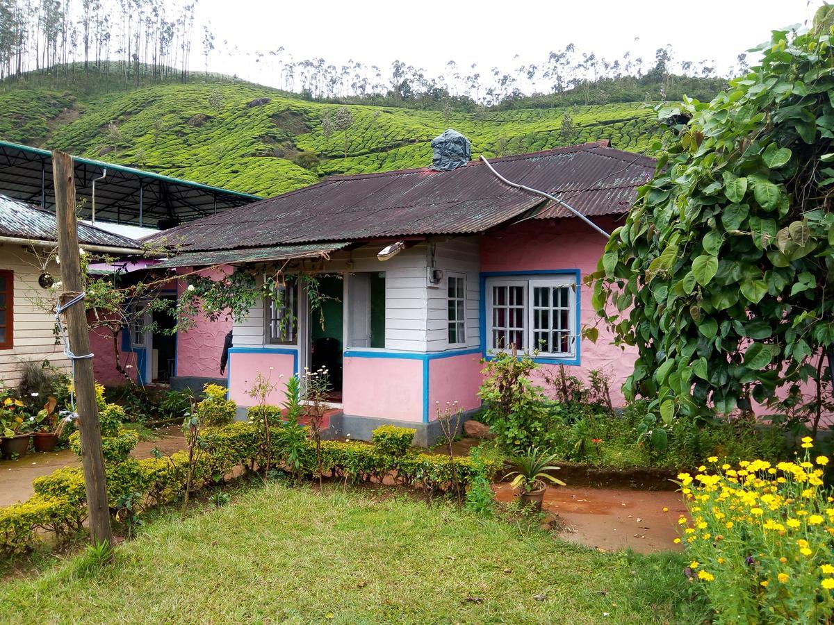 Zina Bed & Breakfast Munnar