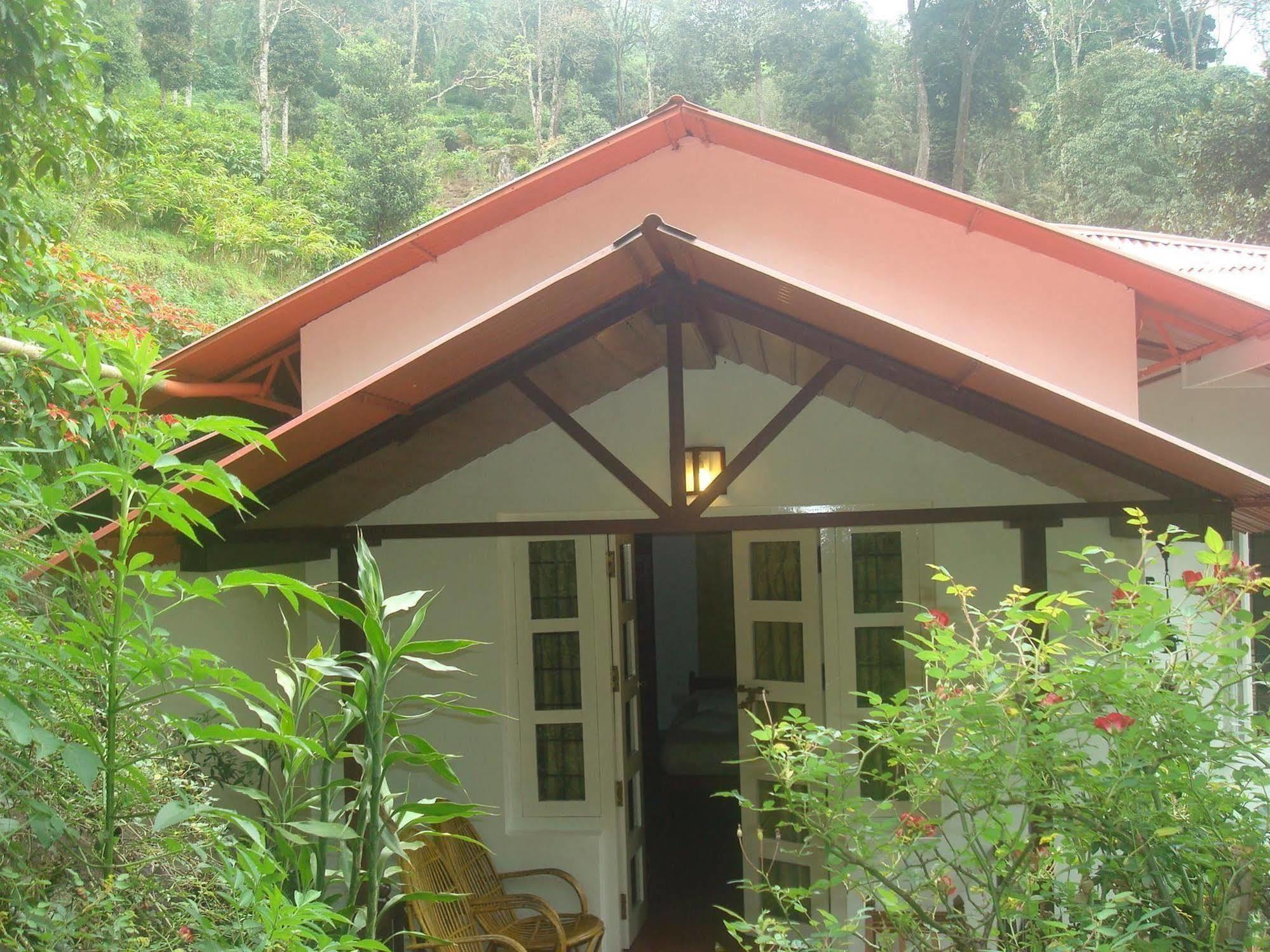 Olive Brook 3* Munnar