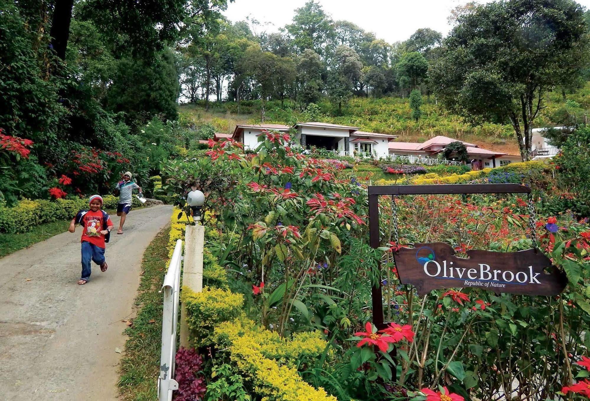 Olive Brook Resort 3*
