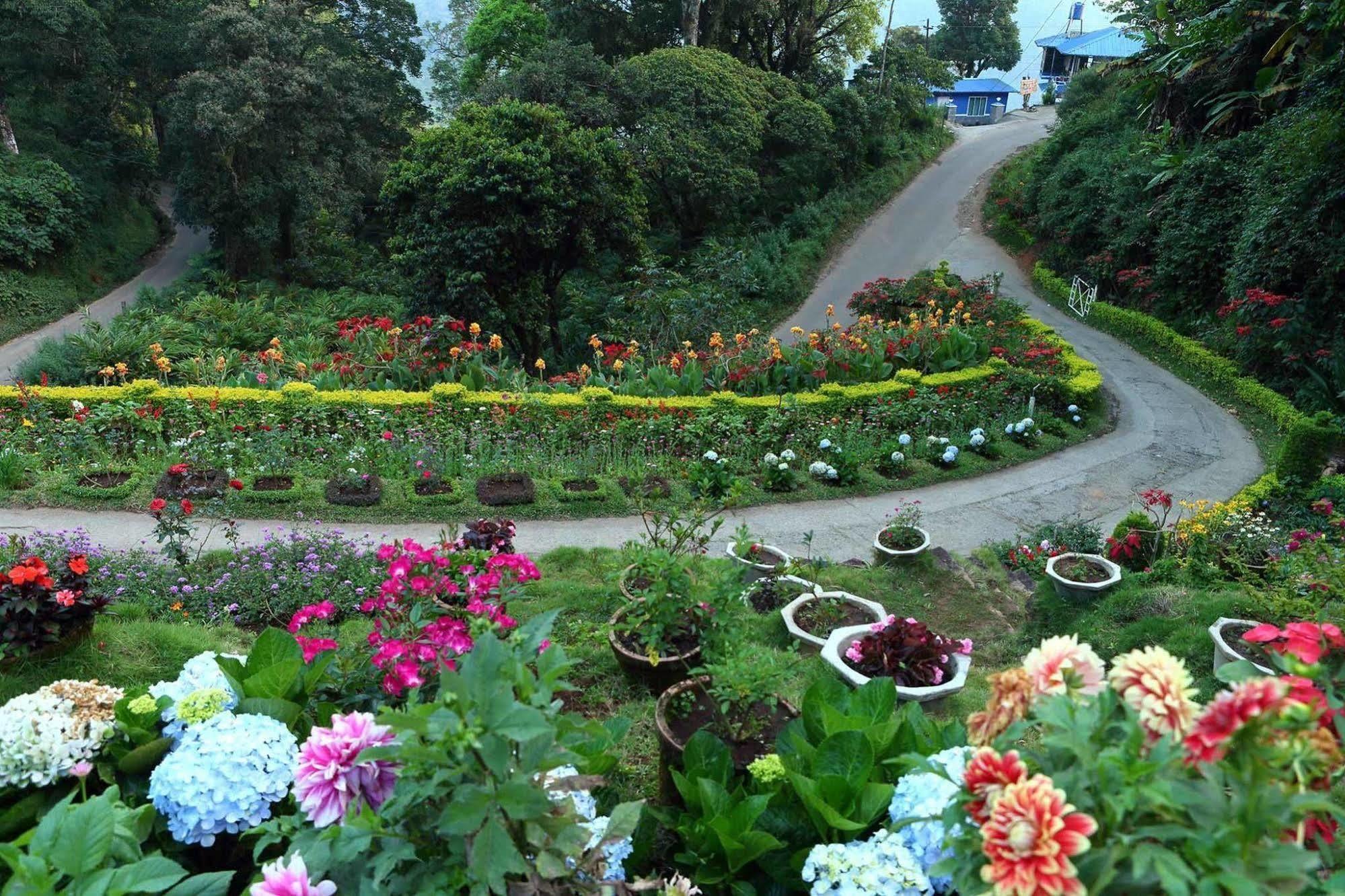 Olive Brook Resort Munnar