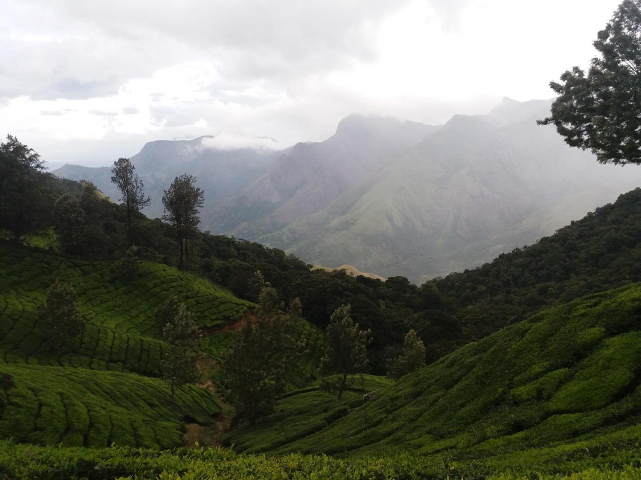 Monsoon Grande Hotel Munnar
