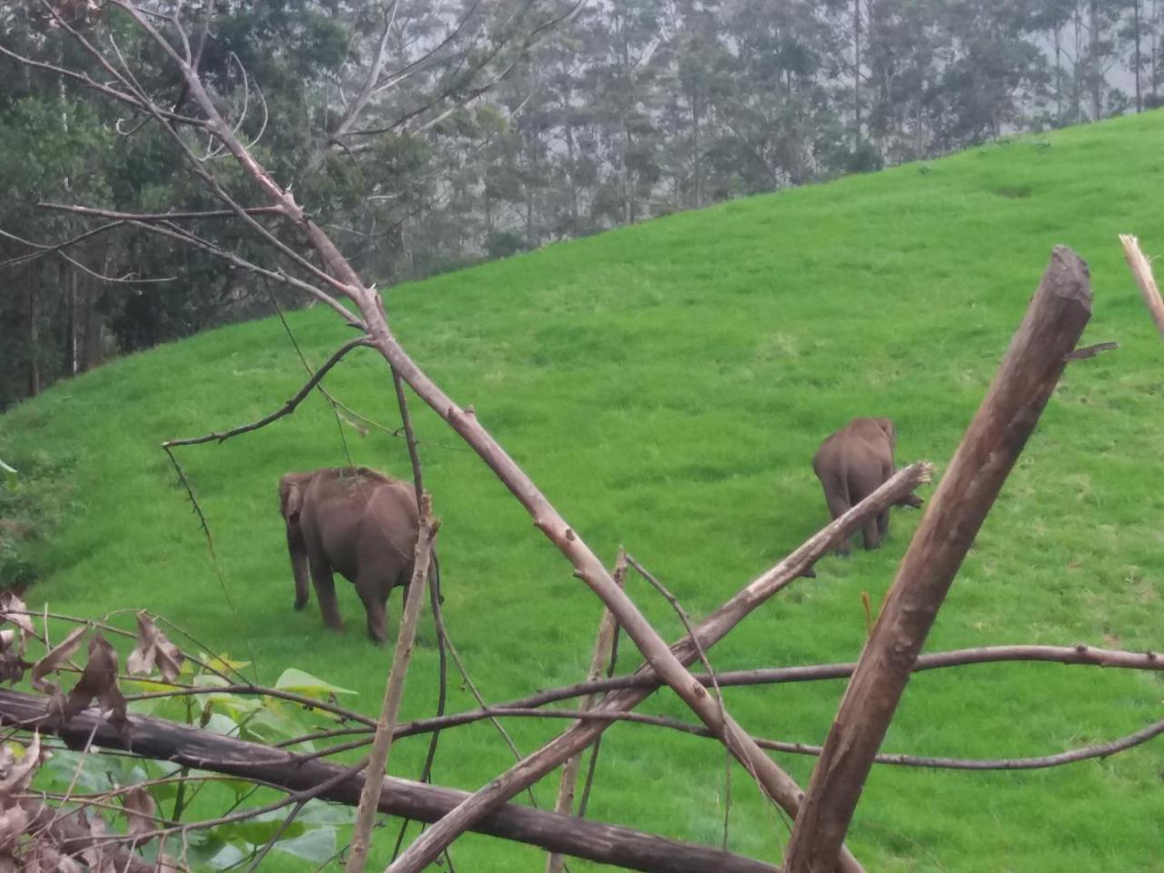 Hotel Monsoon Grande Munnar