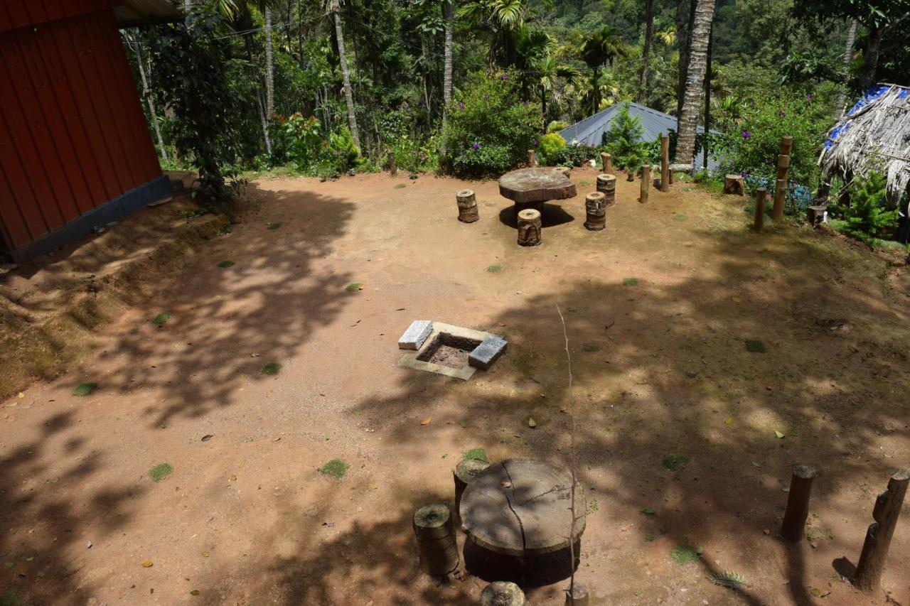 Farm stay Pepper County Farm Munnar