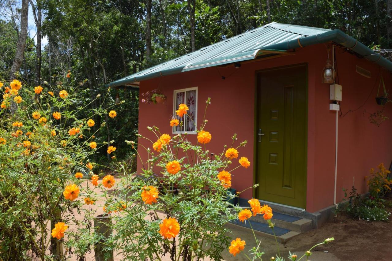 Farm stay Pepper County Farm *
