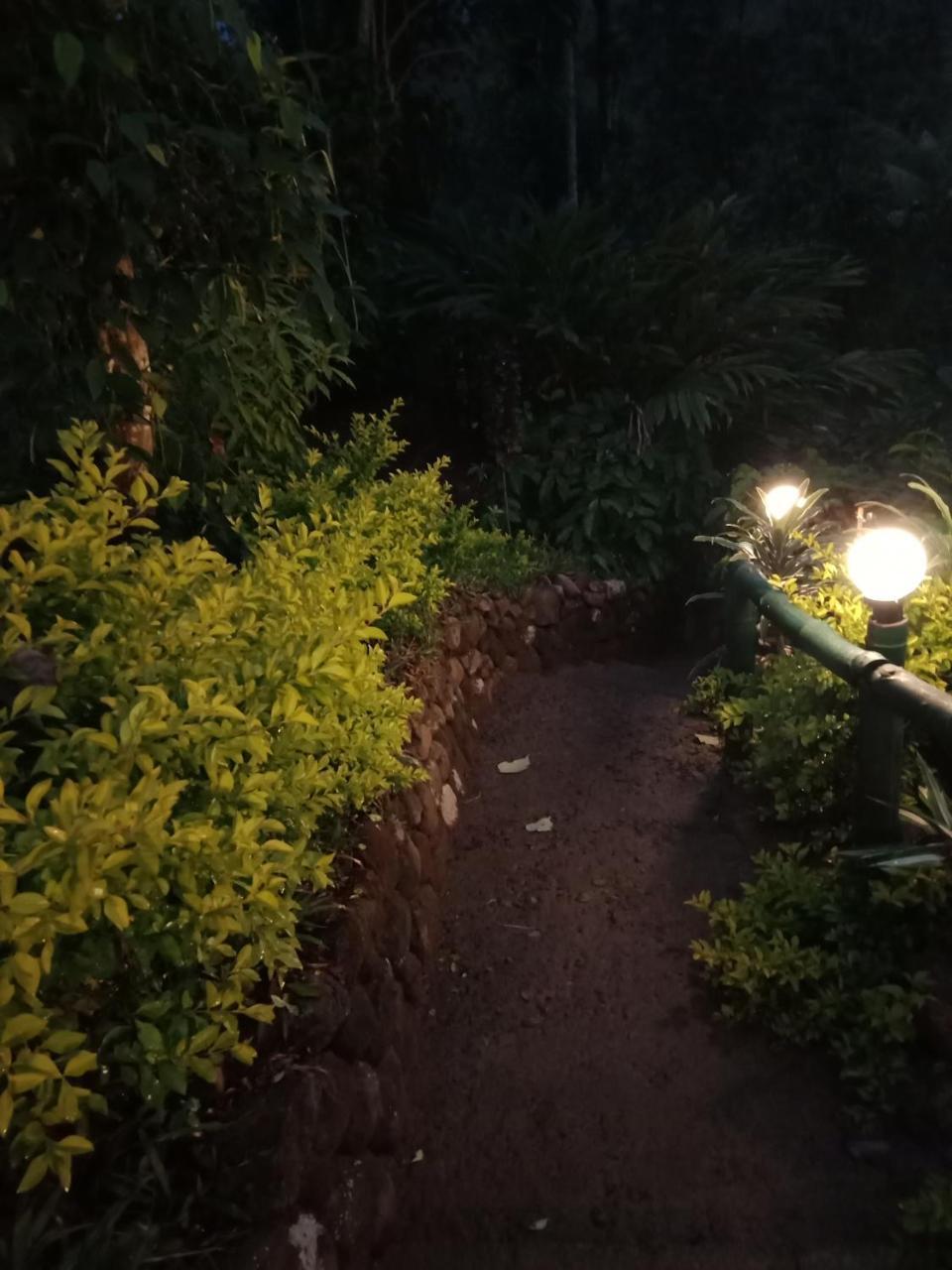 The Wayside Farm stay Munnar