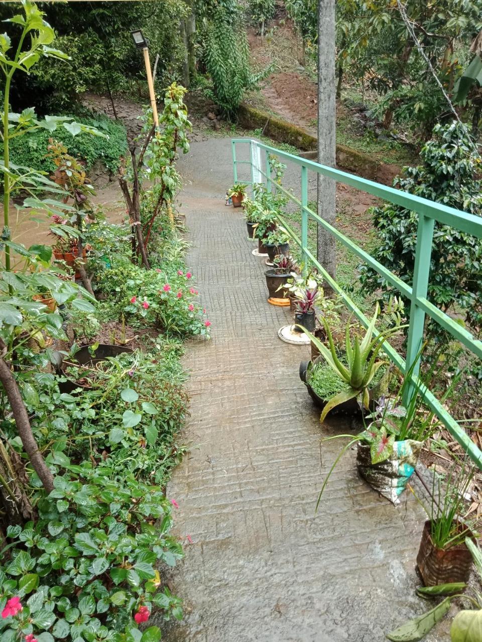 Farm stay The Wayside *