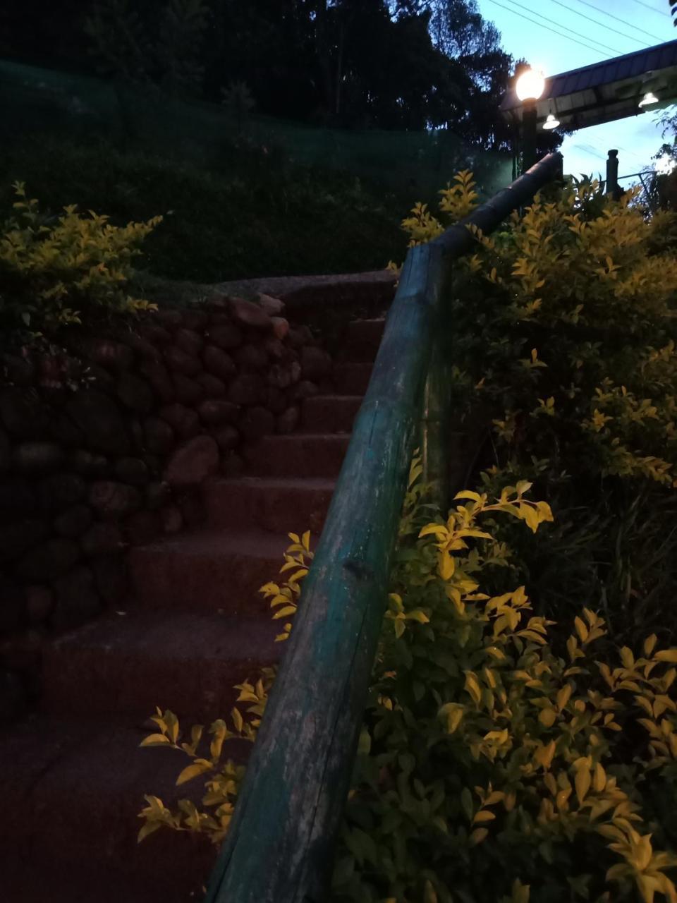 The Wayside Farm stay *