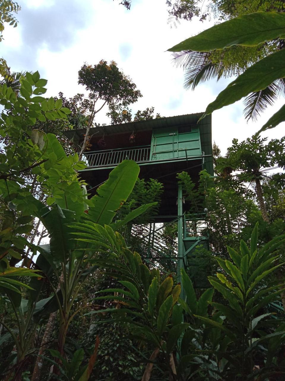 The Wayside Munnar