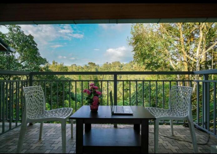 Minds Homestay Munnar