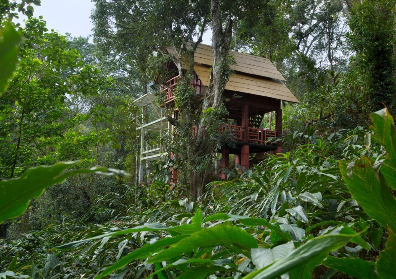 Resort Bamboo Dale Resort, Munnar