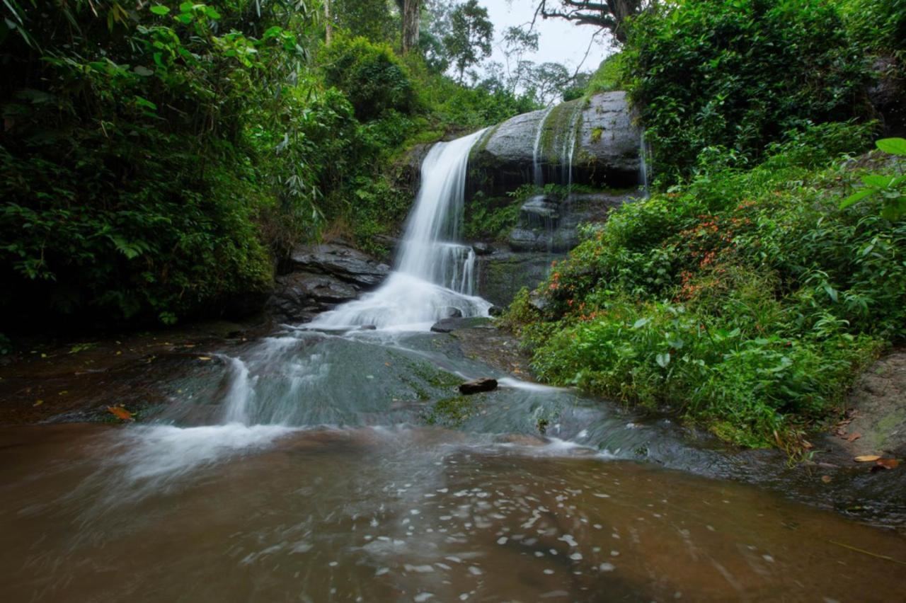 Bamboo Dale Resort, 2* Munnar
