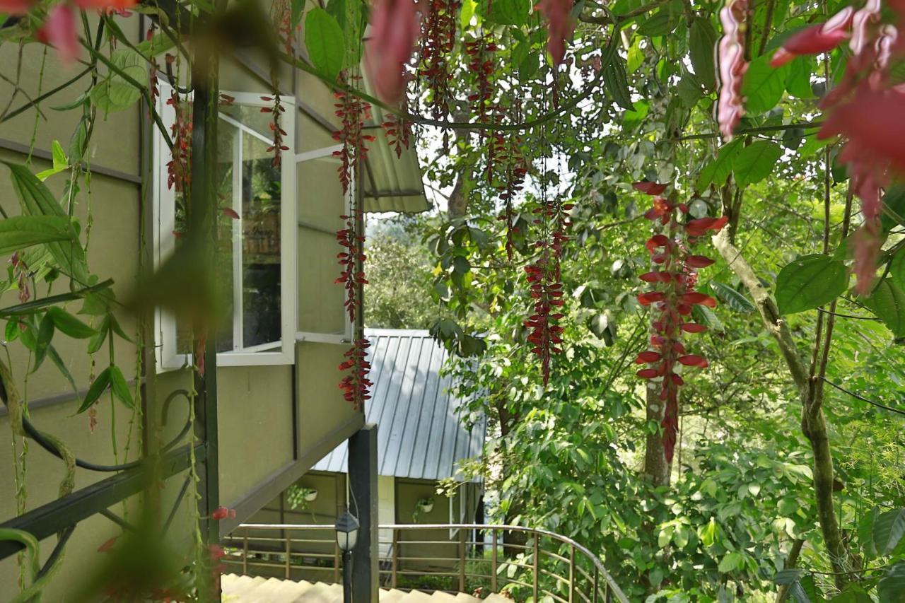 Moselberg Riverside Villa