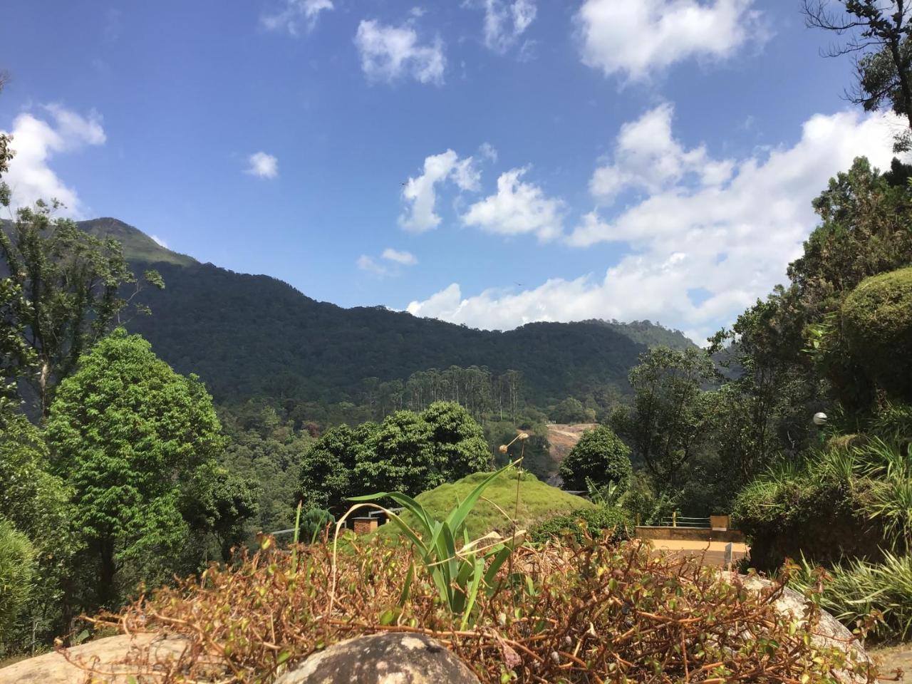 Wild Elephant Eco Friendly Munnar