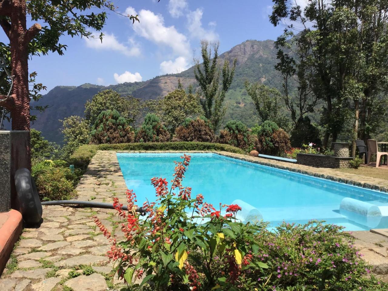 Wild Elephant Eco Friendly Munnar