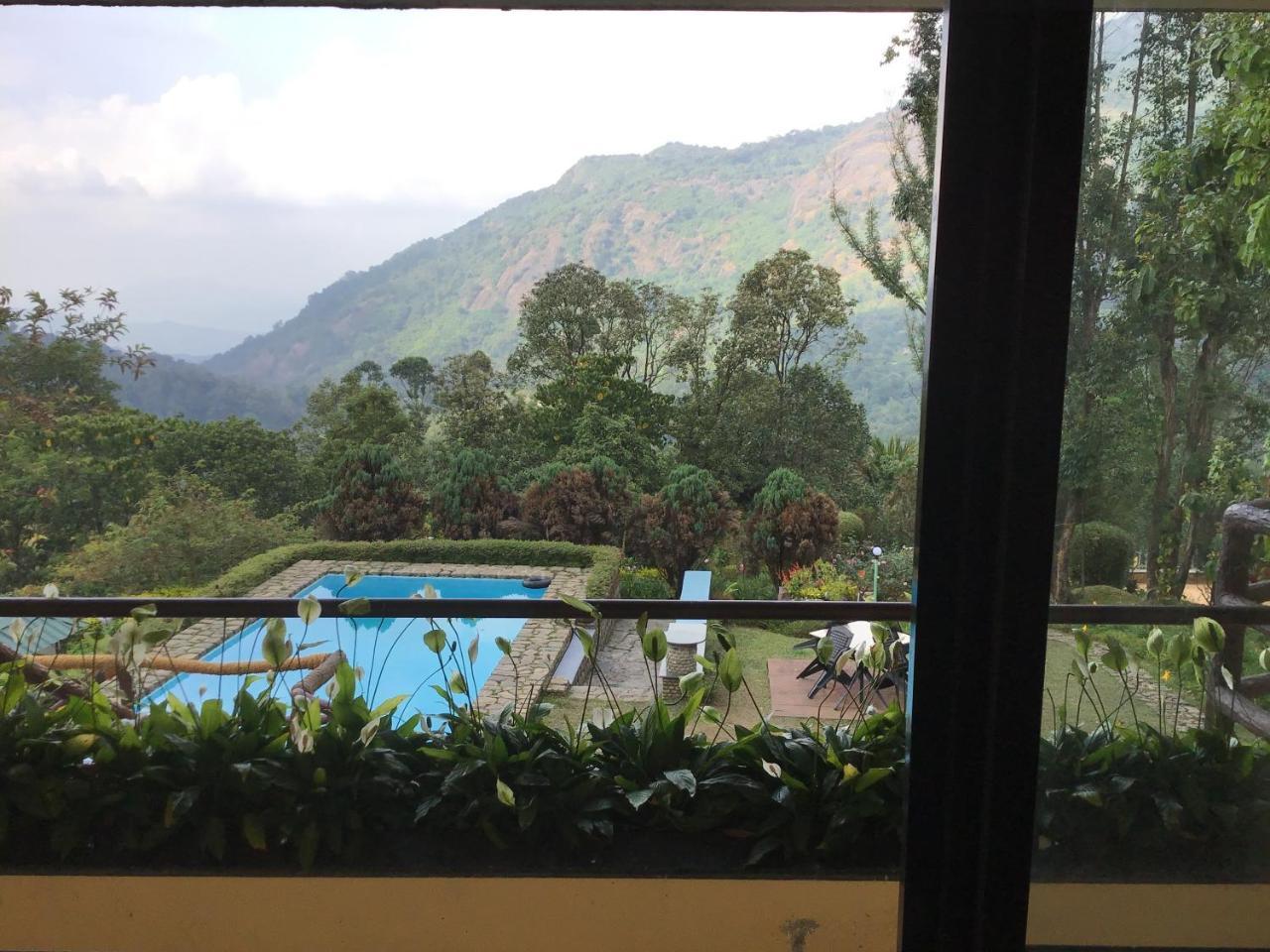 Wild Elephant Eco Friendly 3*