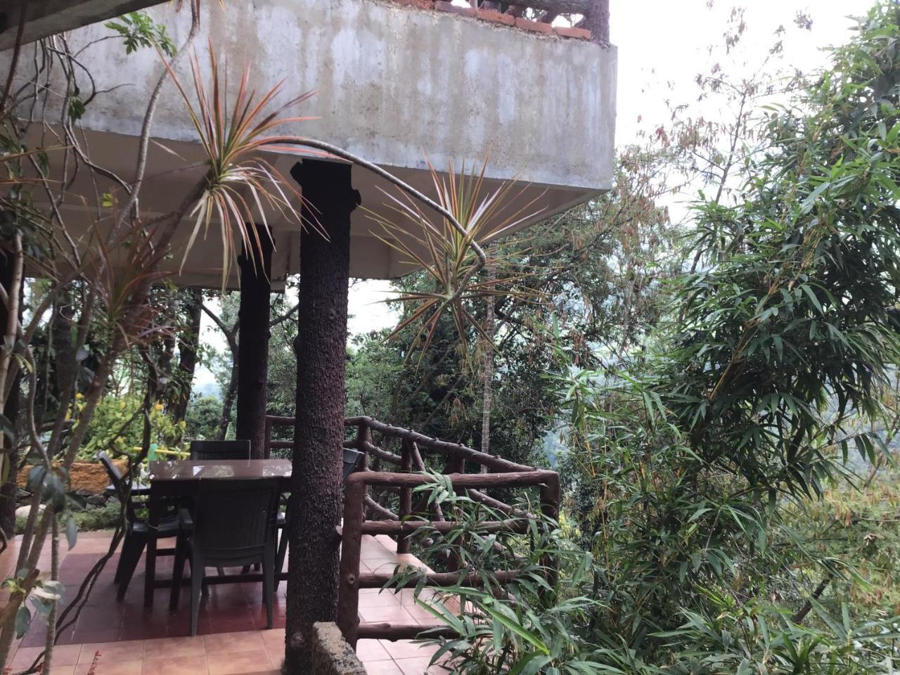 Wild Elephant Eco Friendly Resort Munnar