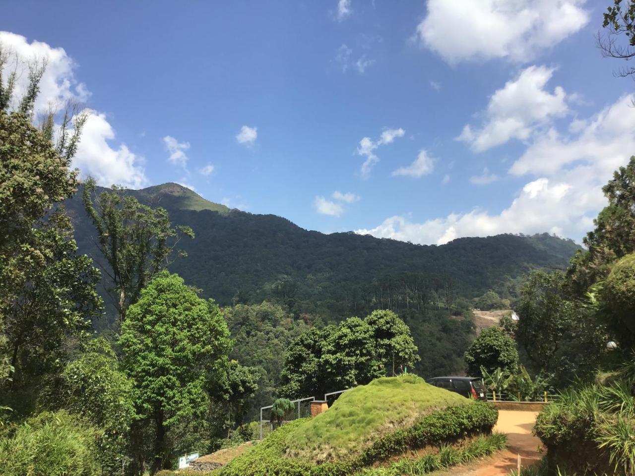 Wild Elephant Eco Friendly 3* Munnar