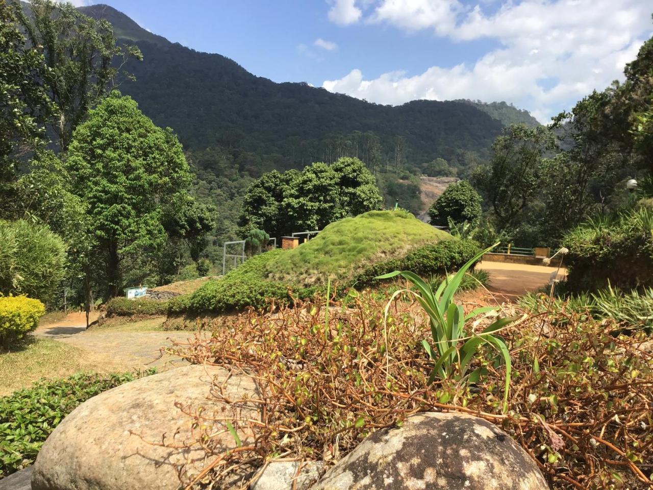 Wild Elephant Eco Friendly 3*