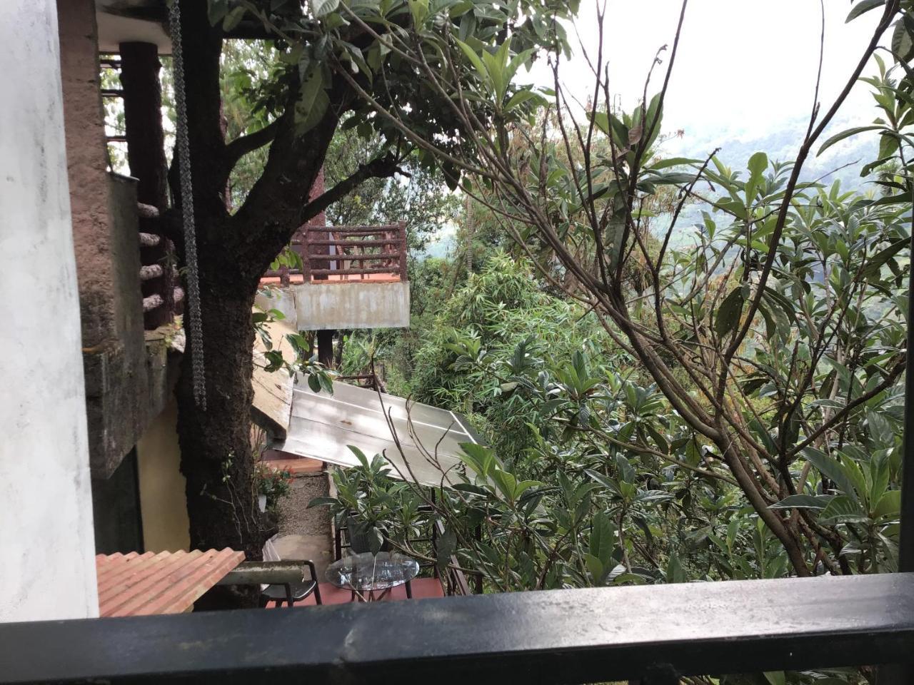 Resort Wild Elephant Eco Friendly 3*