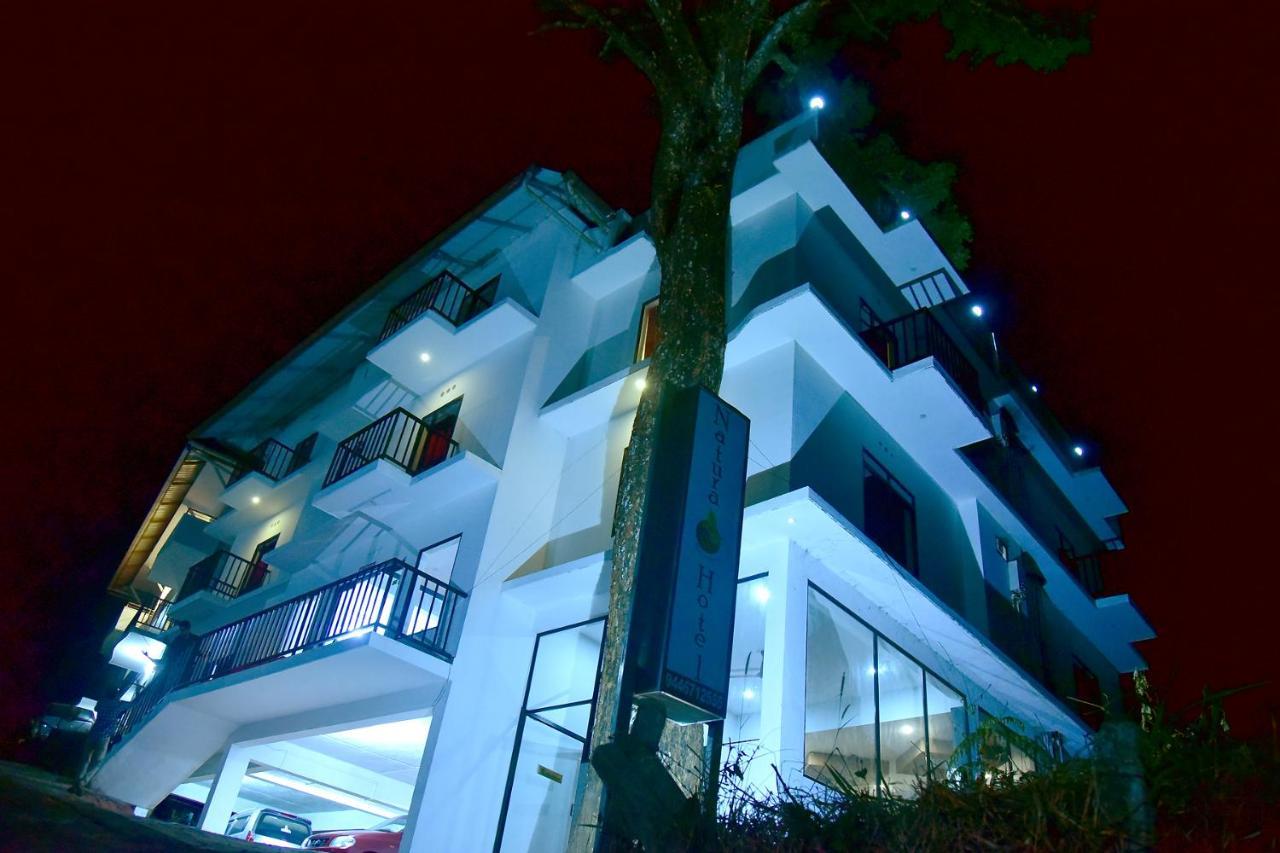 Natura Regency Hotel Munnar
