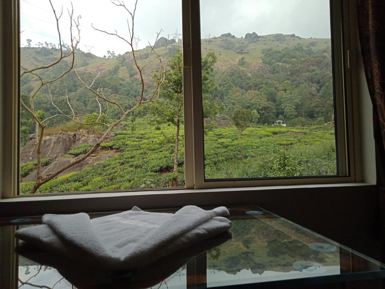 Tea Dale - With Tea Estate View