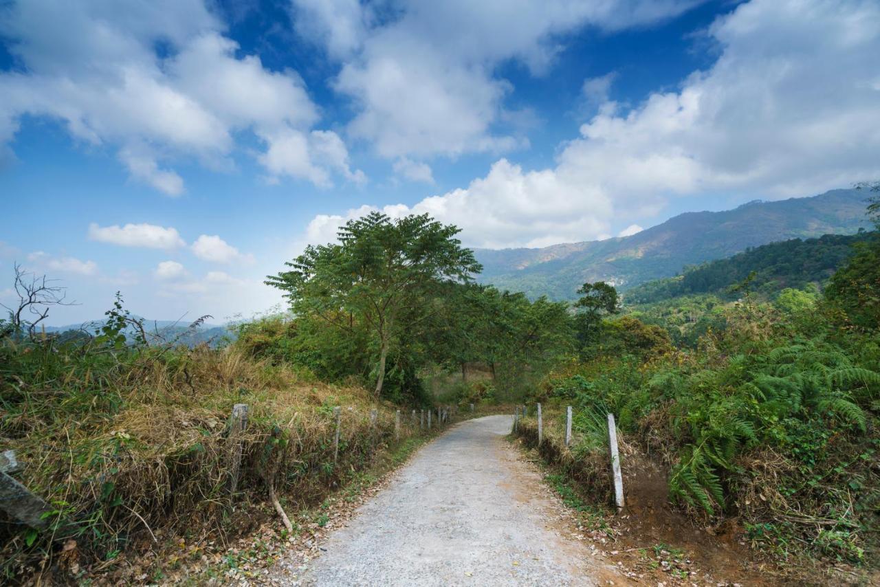 Natura Regency Munnar