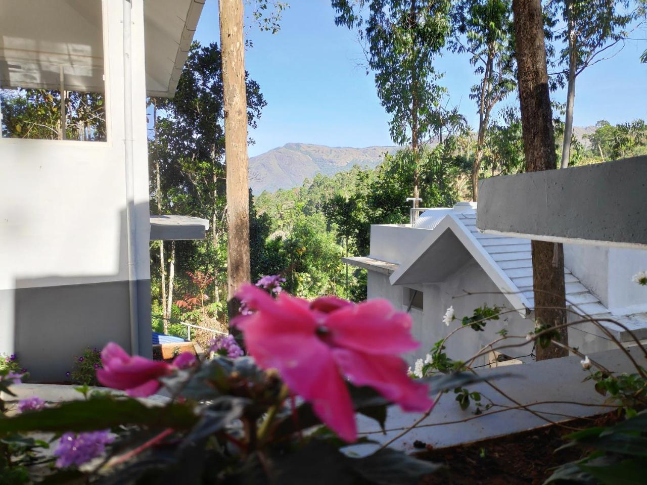 Resort Eucalyptus Munnar